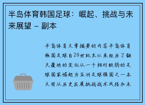 半岛体育韩国足球：崛起、挑战与未来展望 - 副本